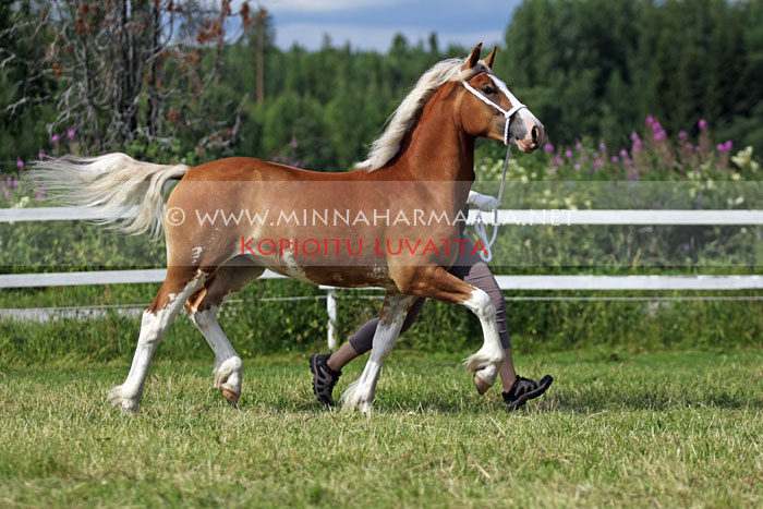 flowzone_chianti_1991.jpg