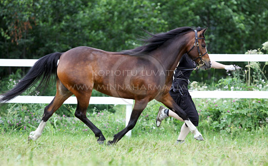 larkhills_versailles6.jpg